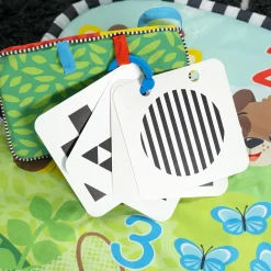 Baby Einstein Discovery Garden Tummy Time & Mirror Aktiviteettilelu/Aktiviteettimatto