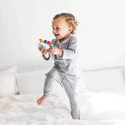 Baby Einstein Take Along Tunes Musiikkilelu