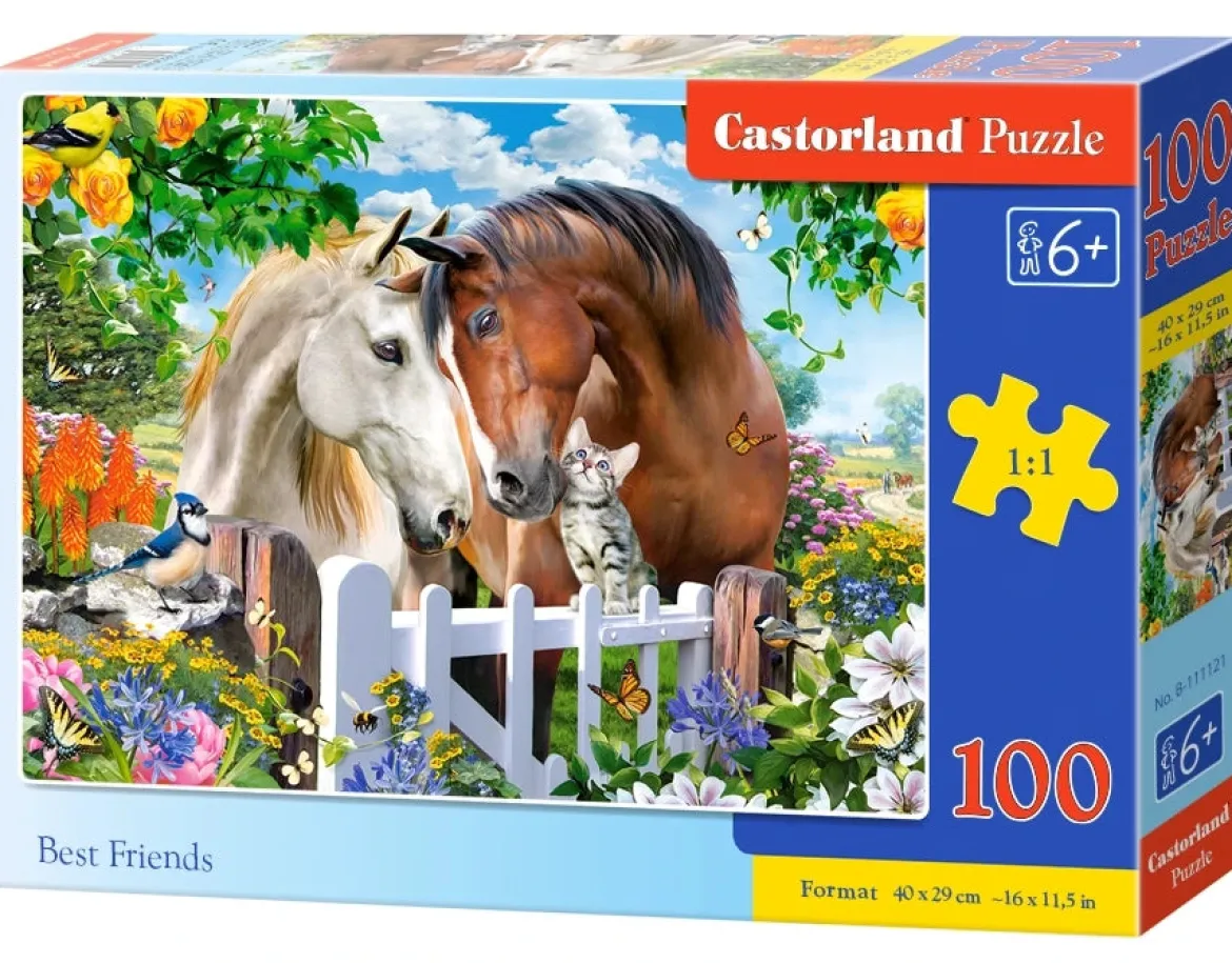Castorland Palapeli 100 Palaa Best Friends
