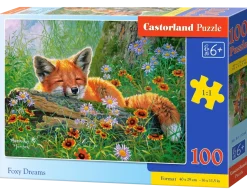 Castorland Palapeli 100 Palaa Foxy Dreams