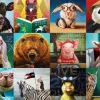 Eurographics 1000 Palan Palapeli Funny Animals