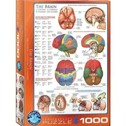 Eurographics 1000 Palan Palapeli The Brain