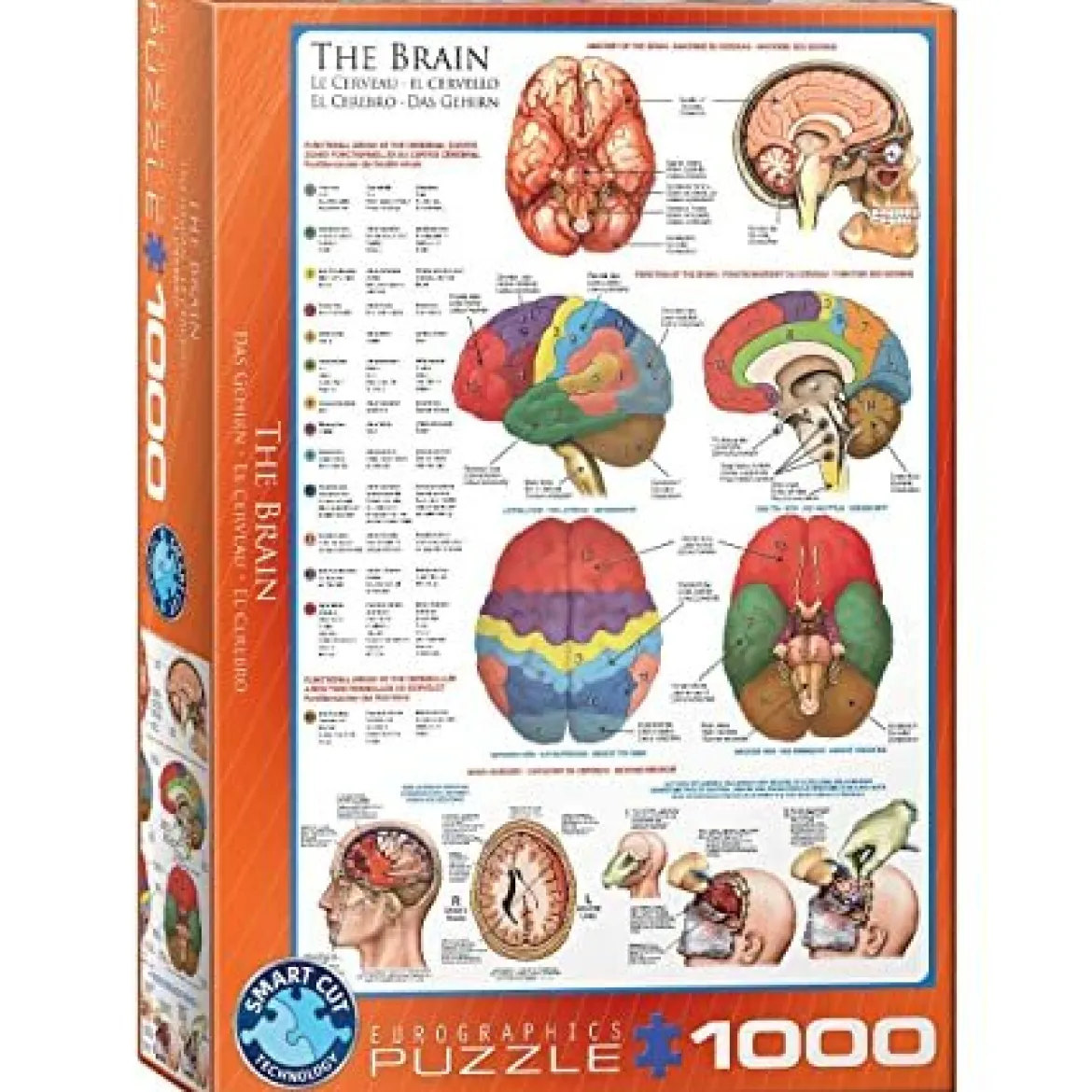 Eurographics 1000 Palan Palapeli The Brain