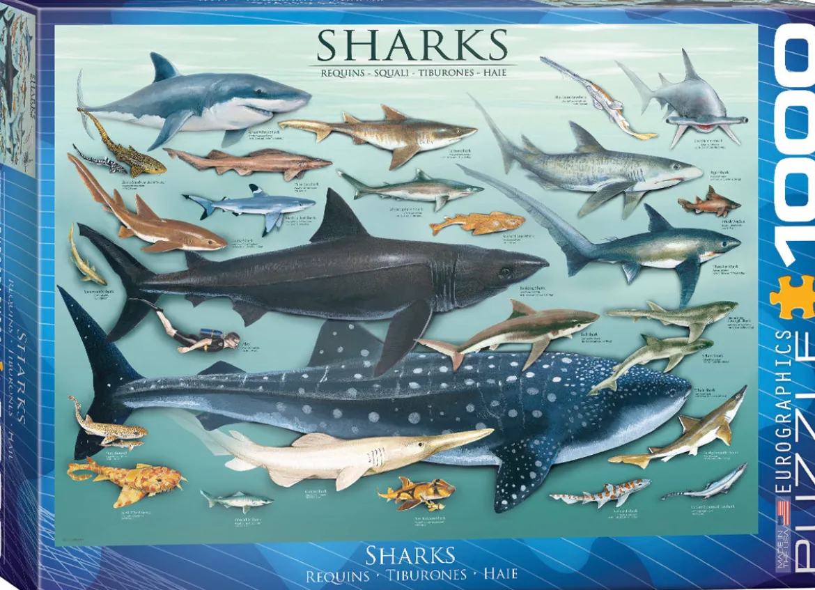 Eurographics Puzzle 1000 Palan Palapeli Sharks