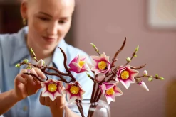 LEGO Botanicals 11510 Magnolian Oksat
