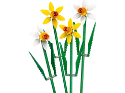 LEGO Classic 40747 Narsissit