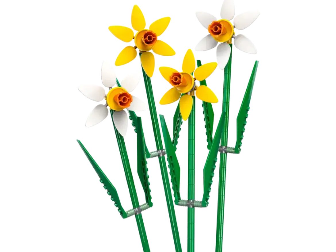 LEGO Classic 40747 Narsissit