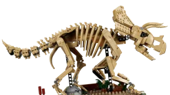 LEGO Editions 77985 Dinosaurusfossiilit: Triceratops