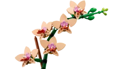 LEGO 10343 Miniorkidea