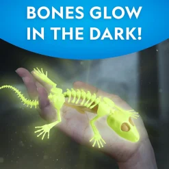 National Geographic Disection Lab Gecko