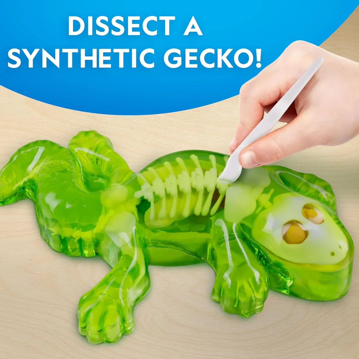 National Geographic Disection Lab Gecko
