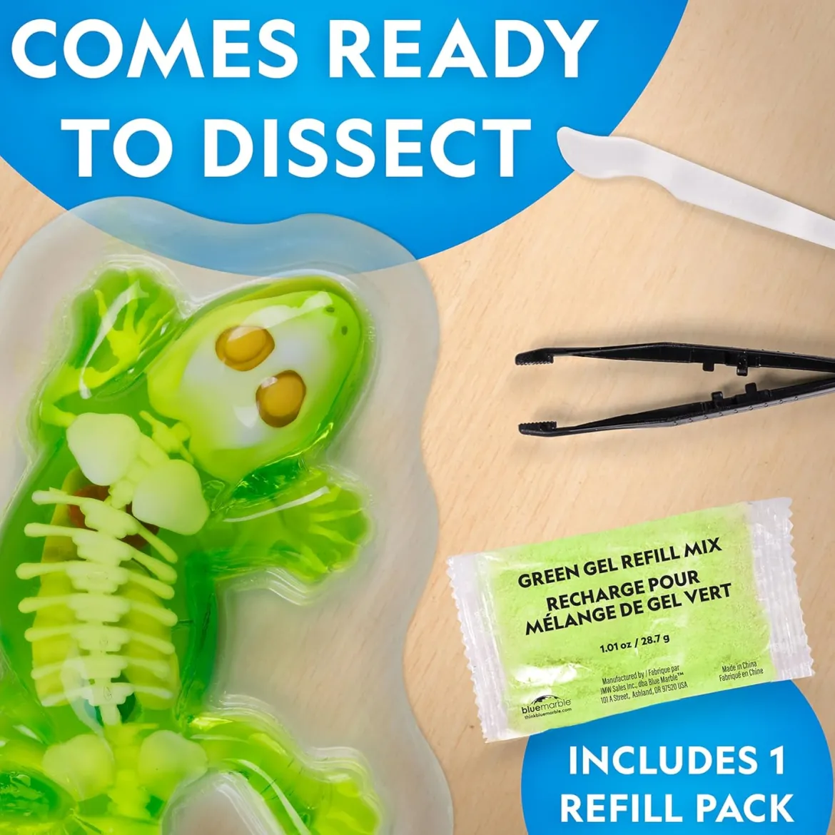 National Geographic Disection Lab Gecko