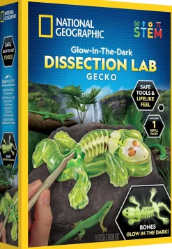 National Geographic Disection Lab Gecko