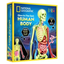 National Geographic Human Body Pimeässä Hohtava Ihmiskeho 32 osaa