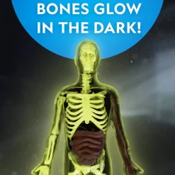 National Geographic Human Body Pimeässä Hohtava Ihmiskeho 32 osaa
