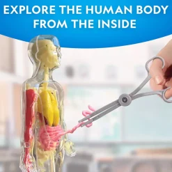 National Geographic Human Body Pimeässä Hohtava Ihmiskeho 32 osaa