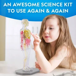 National Geographic Human Body Pimeässä Hohtava Ihmiskeho 32 osaa