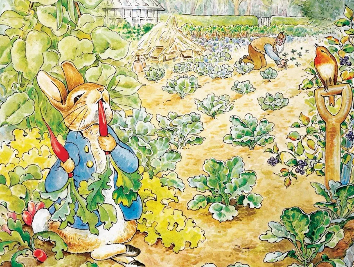 New York Puzzle Company 500 Palan Palapeli Peter Rabbits Garden Snack