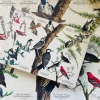 Penny Puzzle Birds of Audubon 1000 Palan Vintage Palapeli