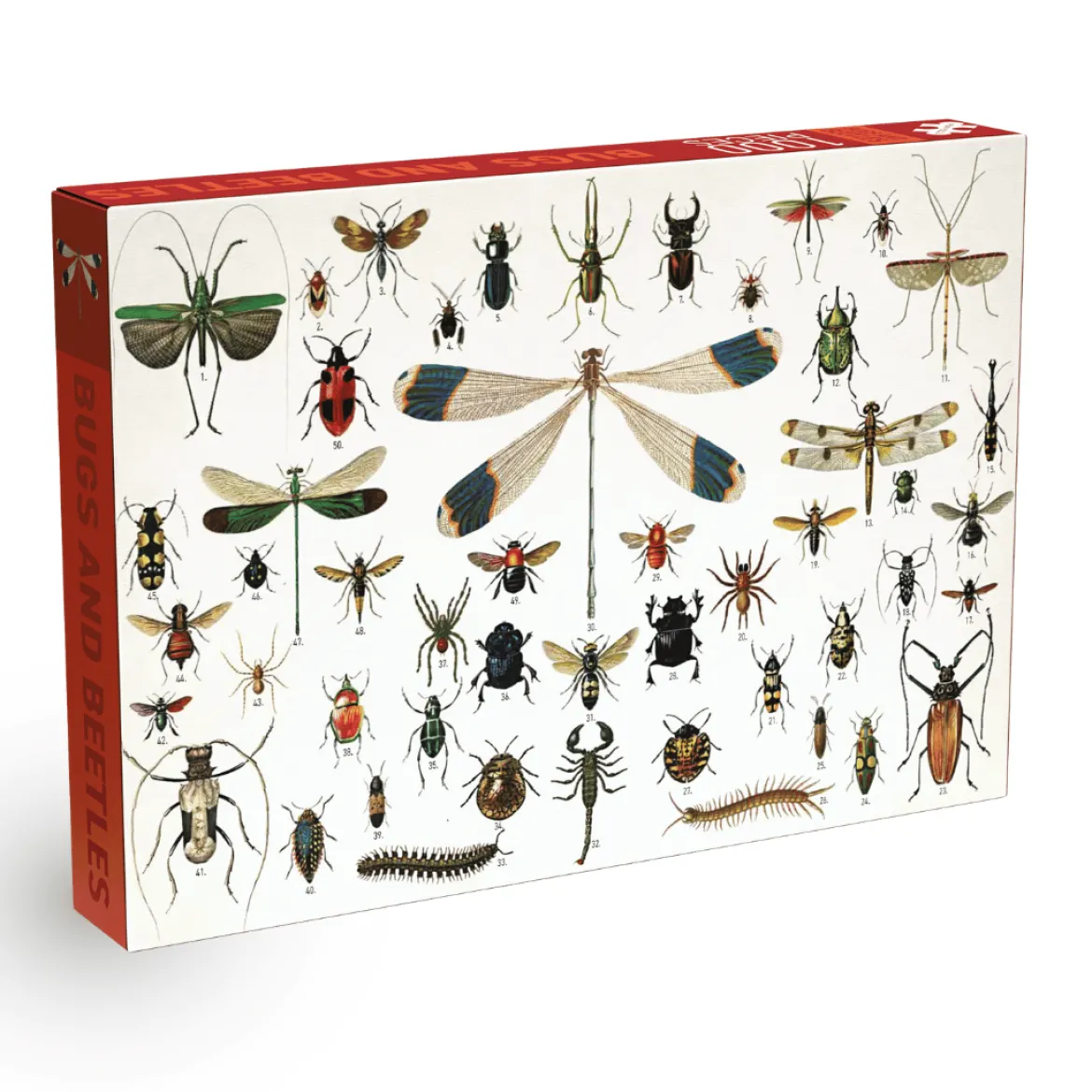 Penny Puzzle Bugs and Beetles Vintage 1000 Palan Palapeli
