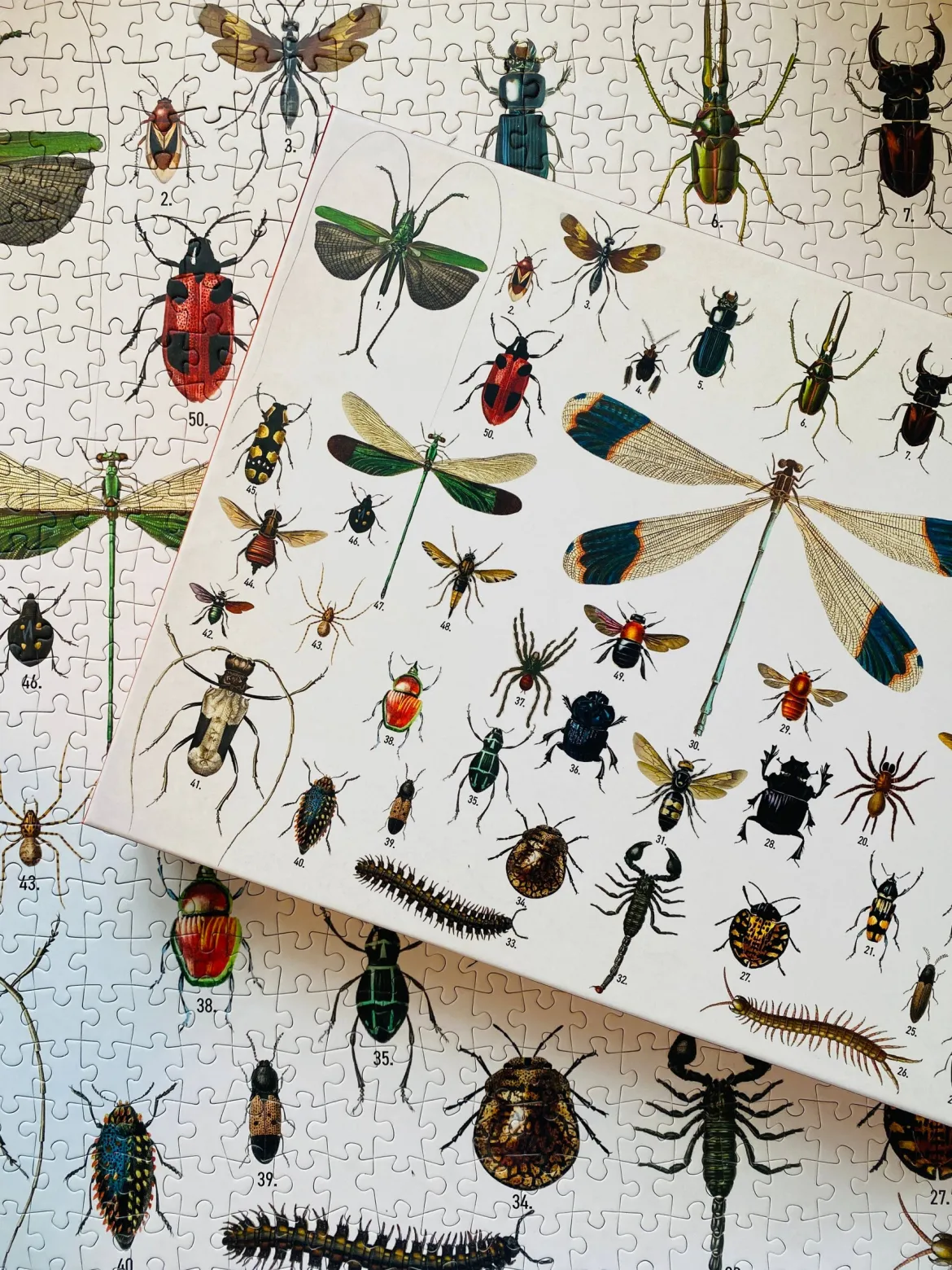 Penny Puzzle Bugs and Beetles Vintage 1000 Palan Palapeli