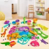 Play-Doh Muovailuvaha Wild Animals Safari Leikkisetti