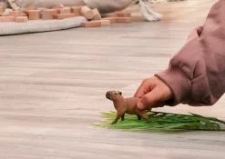 Schleich 14934 Capybara
