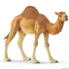 Schleich Dromedaari