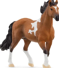 Schleich 13978 Mangalarga Marchador Stallion
