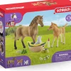 Schleich 42432 Sarahin Eläinhoitosetti