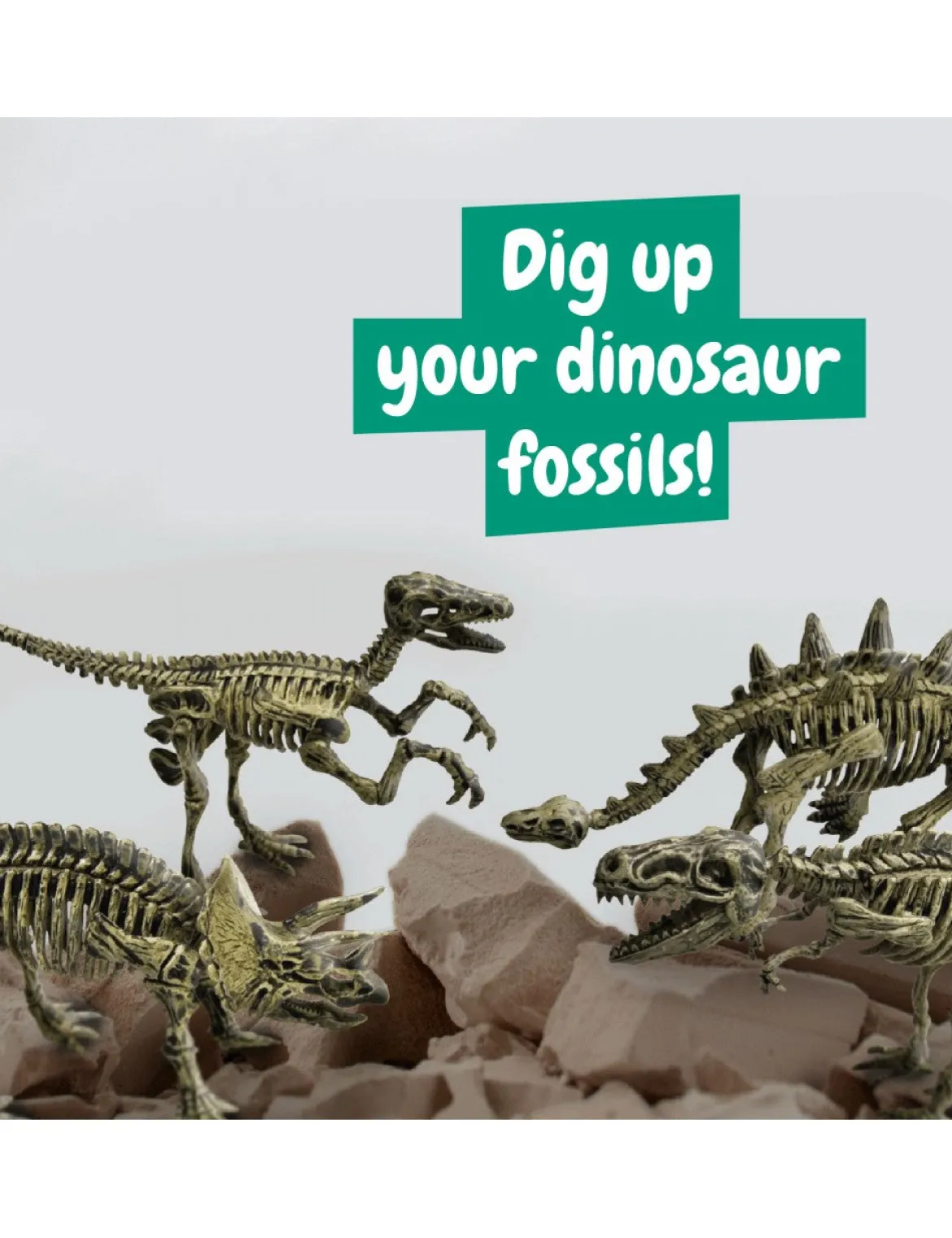 Science4You Fossiili Dinosaurus Kaivaussetti 4 in 1