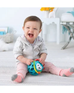 Skip Hop Explore & More Roll Siili Aktiviteettilelu
