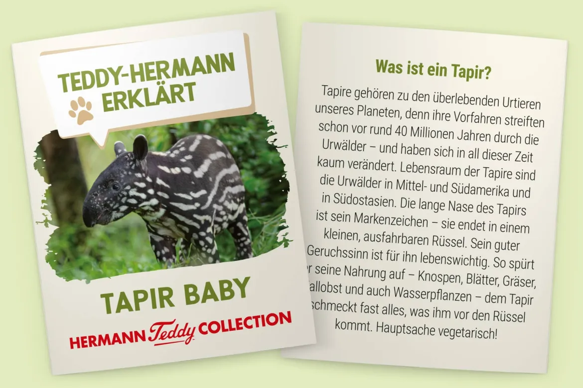 Teddy Hermann Tapiiri Pehmolelu 24 cm