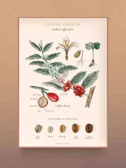 Water And Wines World of Coffee/Kahvin Maailma 1000 Palan Palapeli