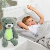 Zazu Brody the Bear Sleeptrainer Uniopettaja + Yövalo